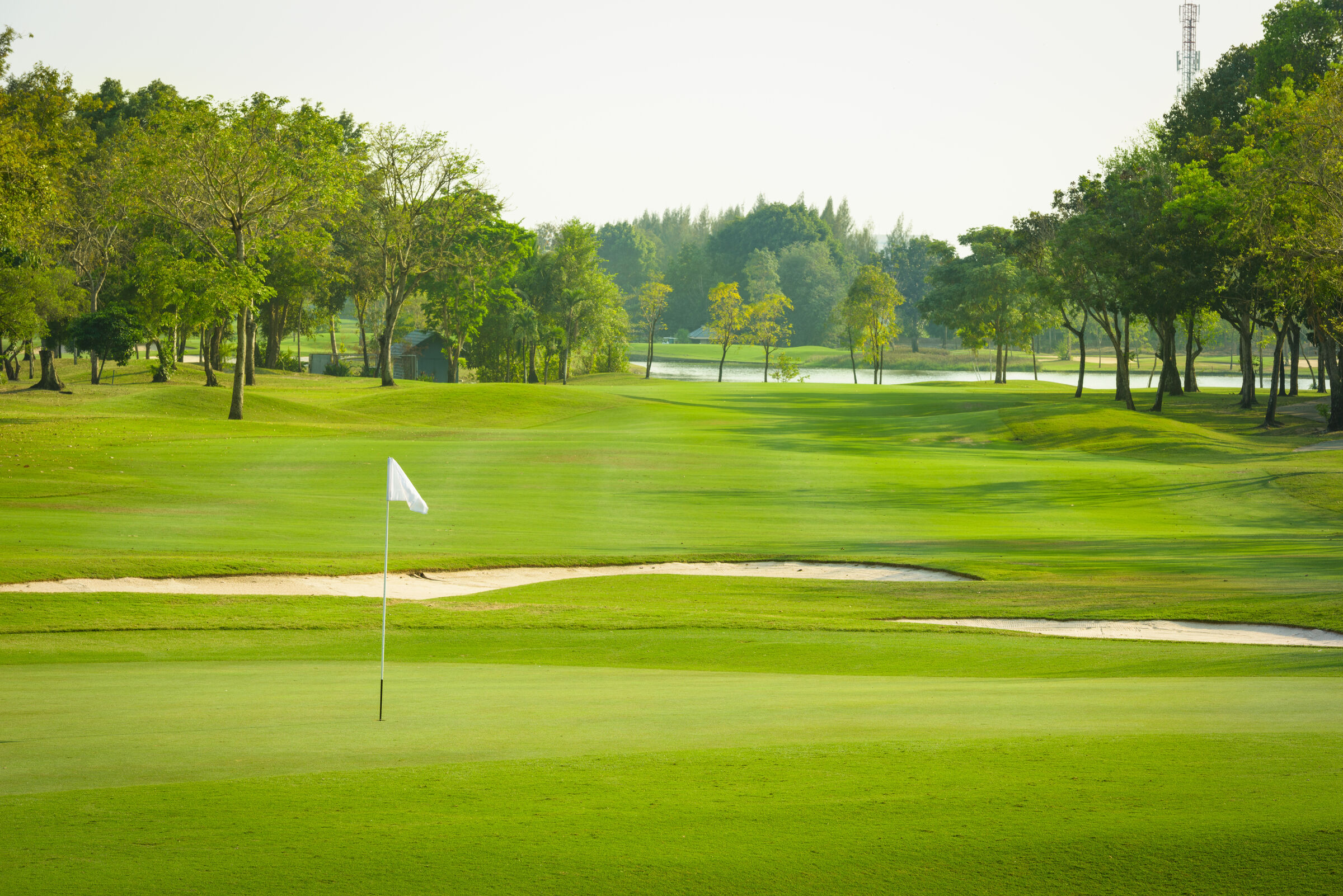 Golf green with flag beside a pond and trees