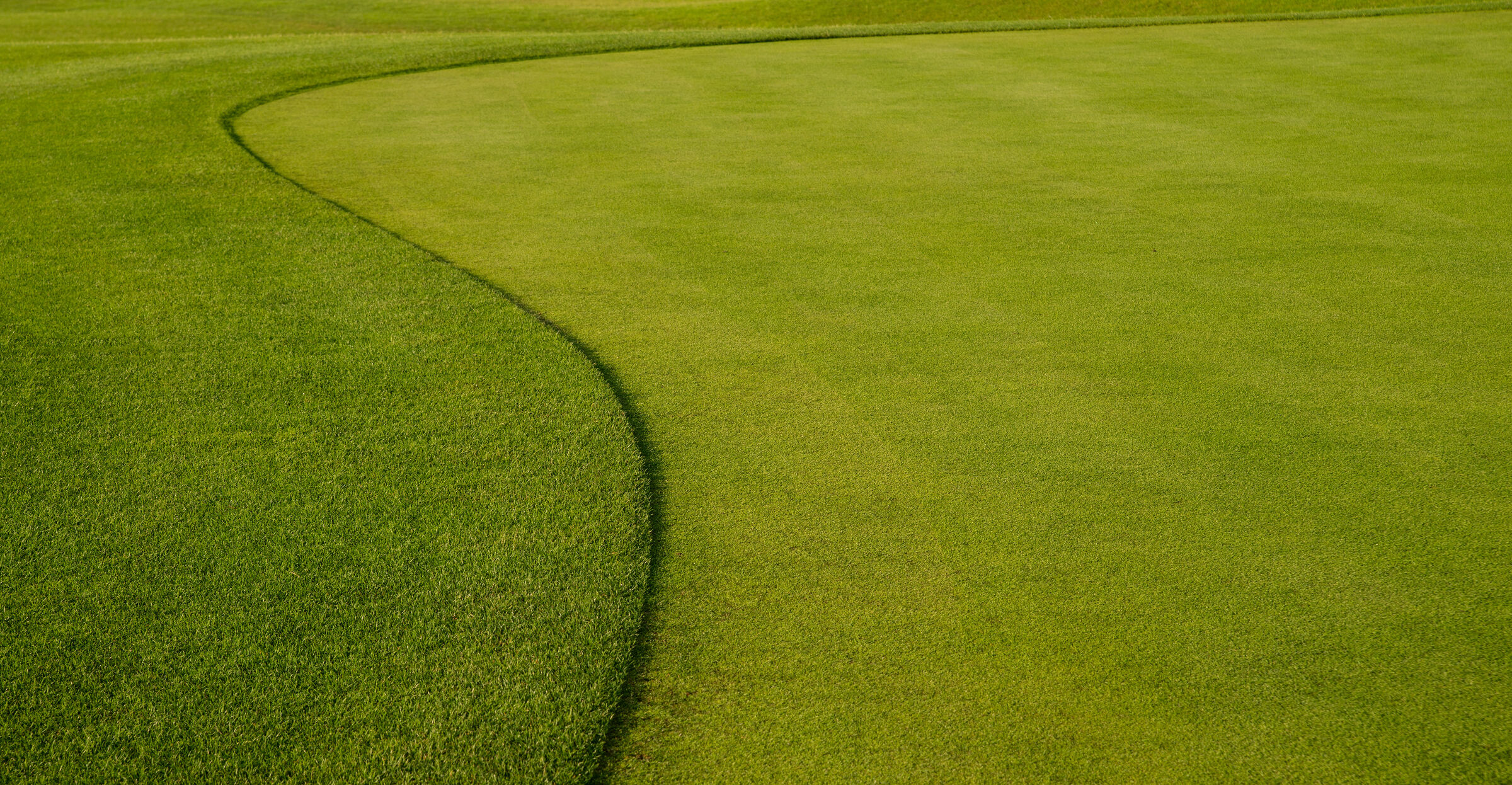 Close-up of a manicured golf green edge